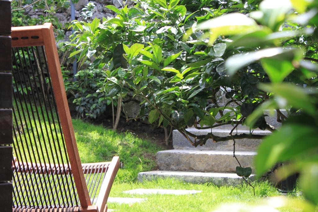Quinta Das Rosas Villas ฮิเบย์รา กรันเจ ห้อง รูปภาพ